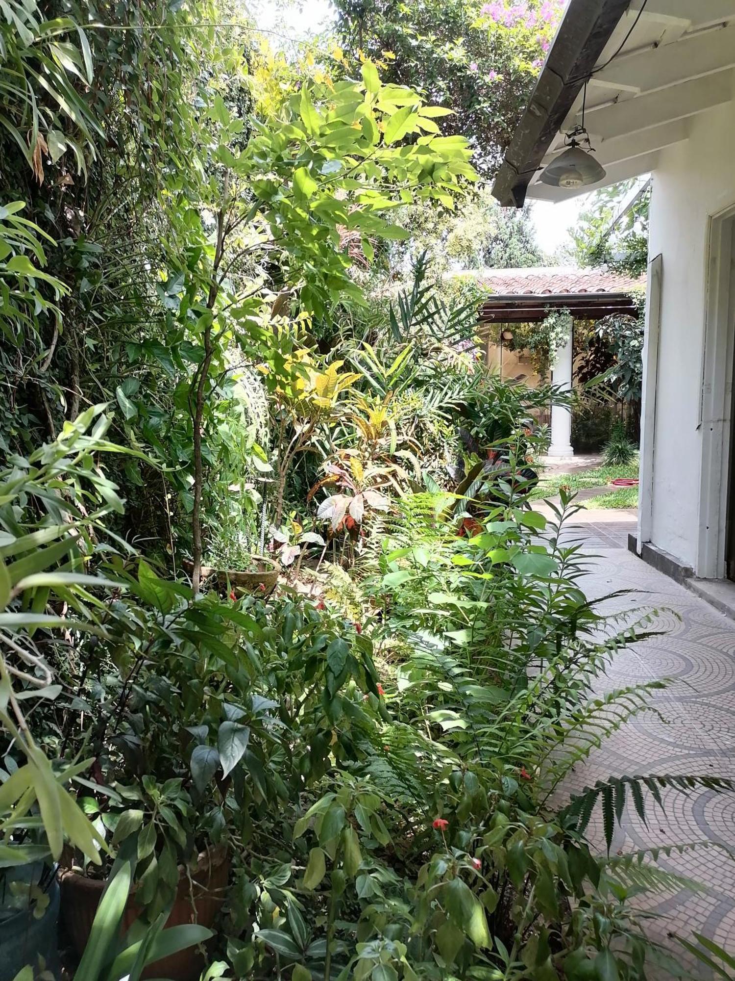亚松森Granados住宿加早餐旅馆 外观 照片
