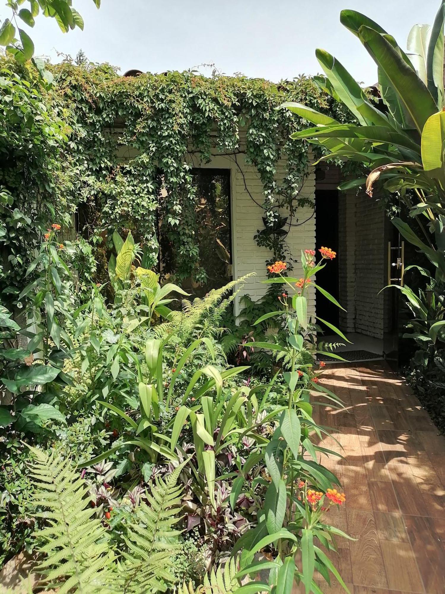亚松森Granados住宿加早餐旅馆 外观 照片