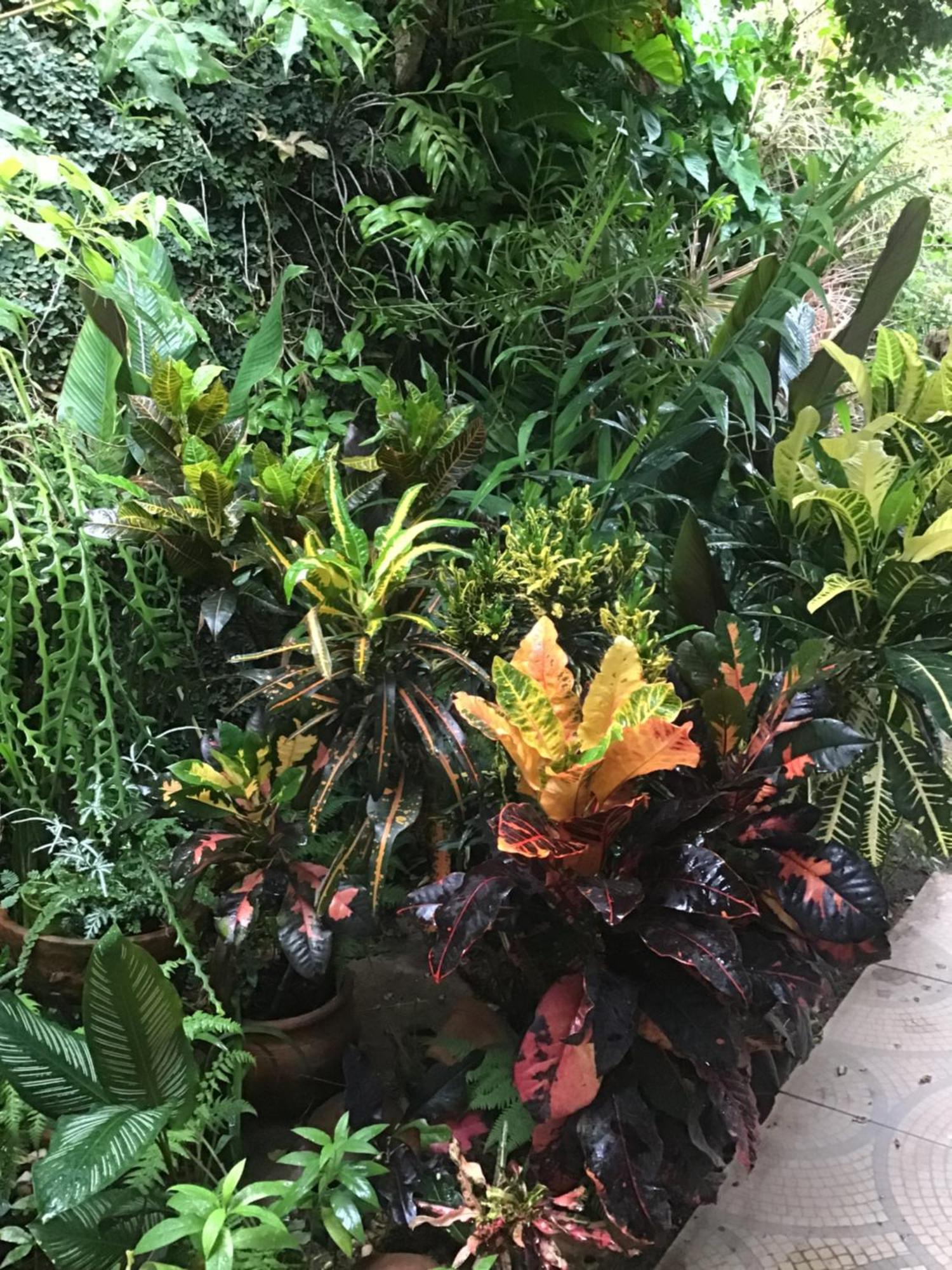 亚松森Granados住宿加早餐旅馆 外观 照片