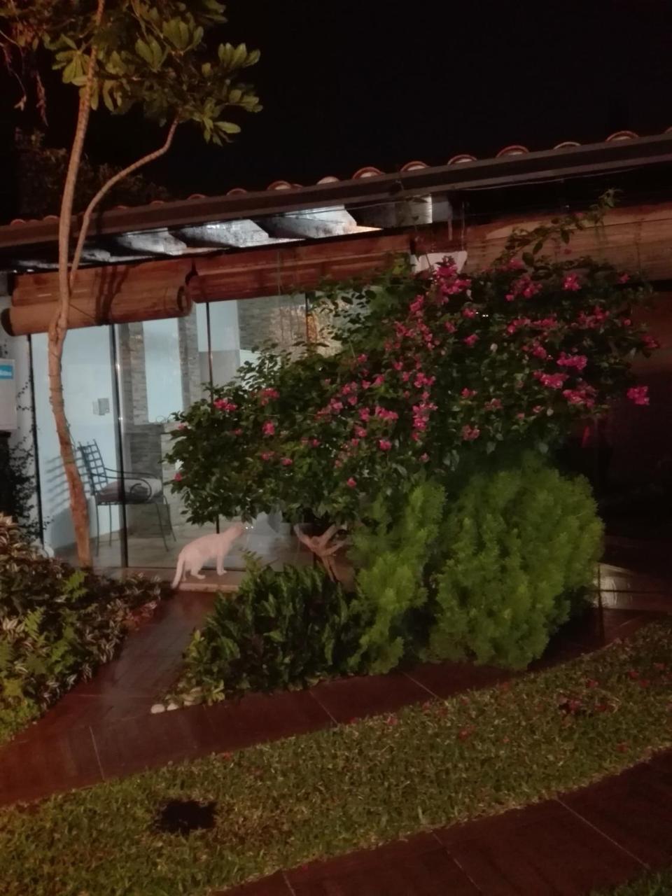 亚松森Granados住宿加早餐旅馆 外观 照片